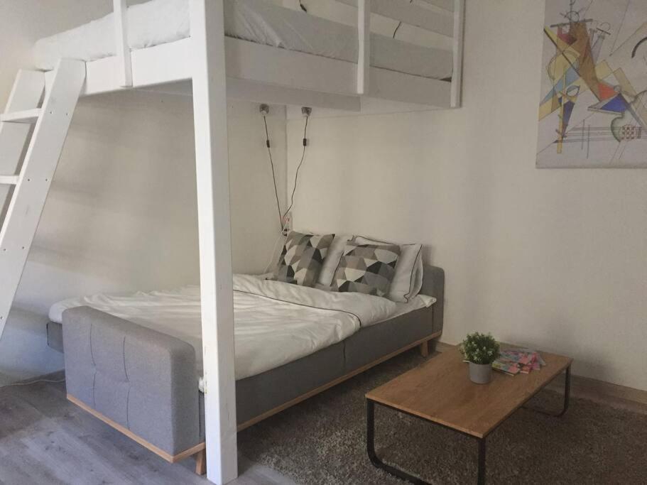 Stylish Flat In - Vinohrady Apartmán Prague