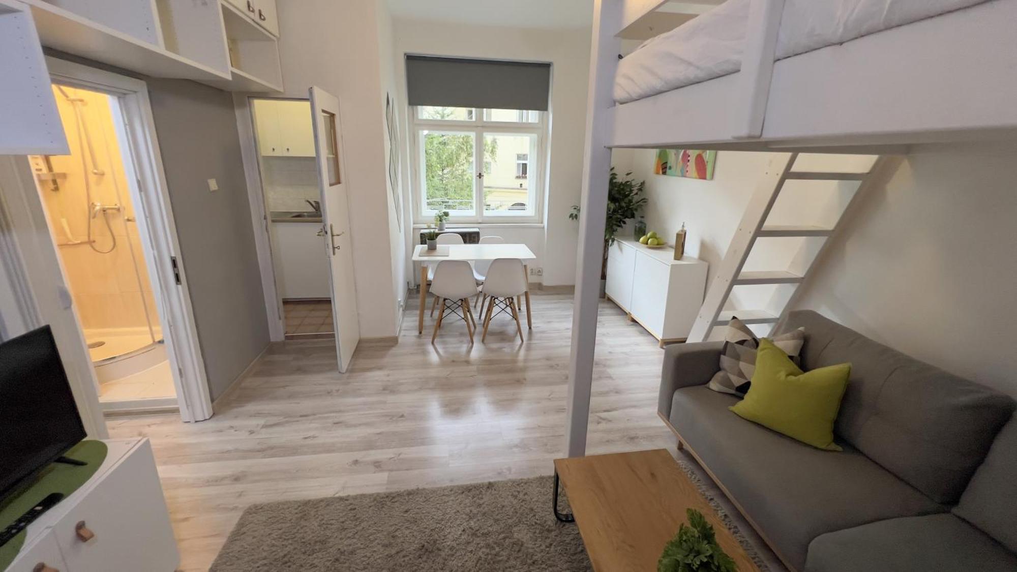 Stylish Flat In - Vinohrady Apartmán