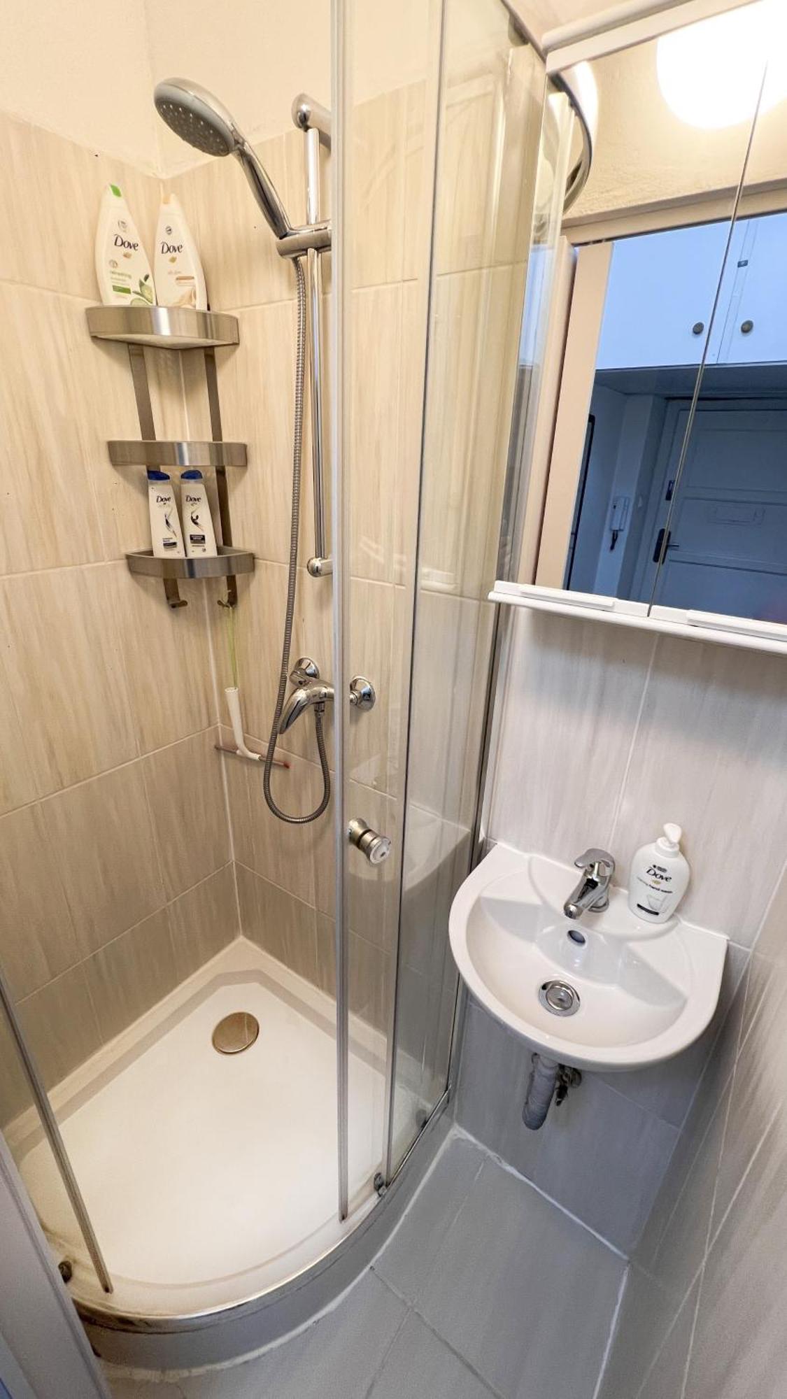 Stylish Flat In - Vinohrady Apartmán *